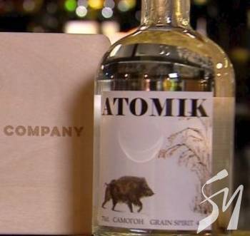 ����� �������� ������������� ������. ������ ��������� � ���������� ��������